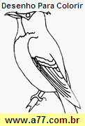 Desenho Para Colorir Pássaro