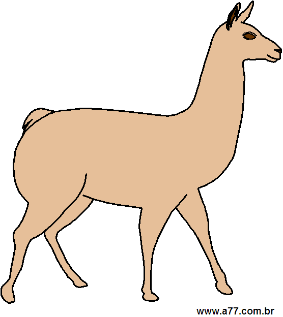 Clipart Animais