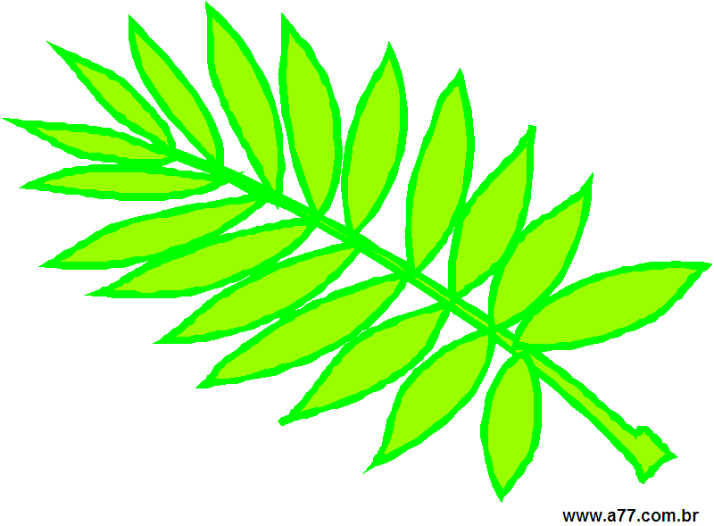 Clipart Elementos Naturais