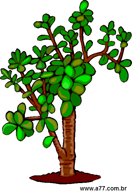 Clipart Natureza