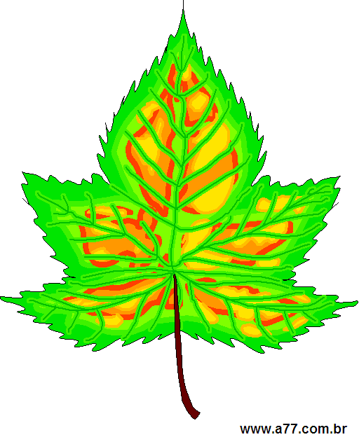 Clipart Natureza