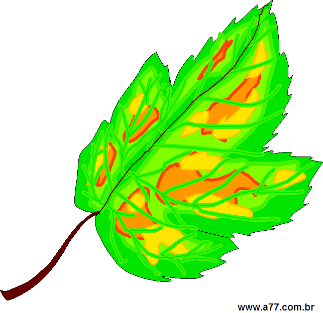 Clipart Natureza