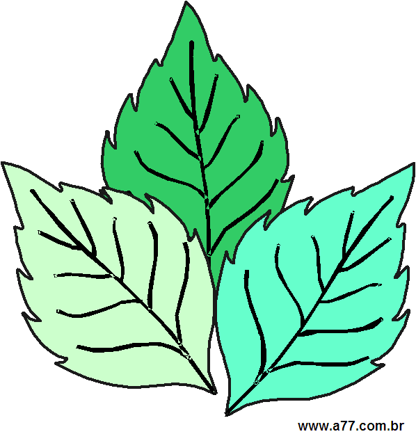 Clipart Elementos da Natureza