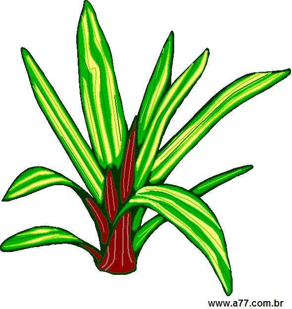 Clipart Elementos Naturais