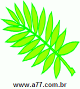 Clipart Natureza