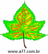 Clipart Natureza