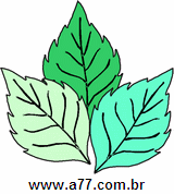 Clipart Natureza