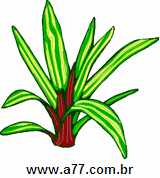 Clipart Natureza