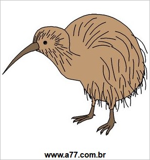 Ave Kiwi