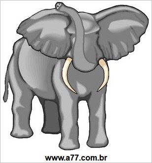 Elefante