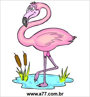 Flamingo