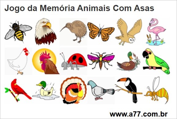 Jogo da Memória Animais Com Asas