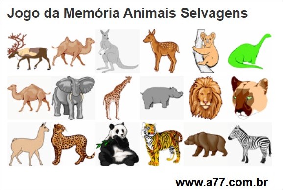 Jogo da Memória Animais Selvagens